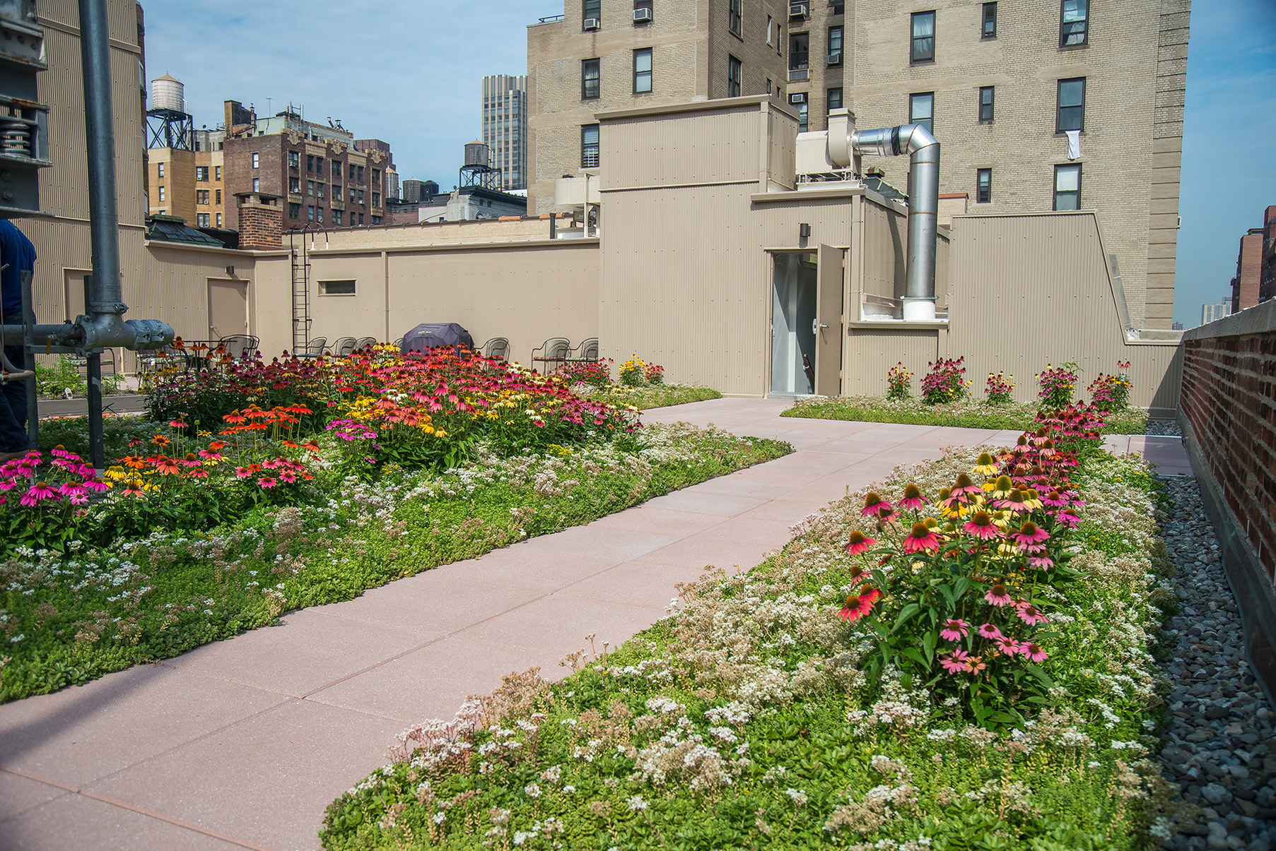 What do buildings need to do to comply with NYC's new green roof laws?